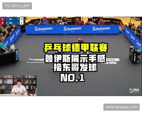 乒乓球德甲联赛赛制解析全面了解比赛采取几局几胜规则 乒乓球德甲联赛赛制解析全面了解比赛采取几局几胜规则