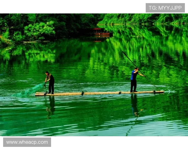 《2025年电竞行业新动态 各大赛事争霸升级 电竞选手训练模式成新焦点》 《2025年电竞行业新动态 各大赛事争霸升级 电竞选手训练模式成新焦点》