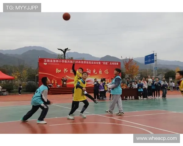 斯托克城俱乐部崛起之路探寻传统与现代足球精神融合发展 斯托克城俱乐部崛起之路探寻传统与现代足球精神融合发展