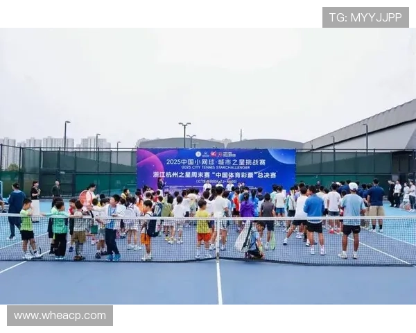 网球新星崛起,全球赛季精彩纷呈,中国选手再创佳绩 网球新星崛起,全球赛季精彩纷呈,中国选手再创佳绩