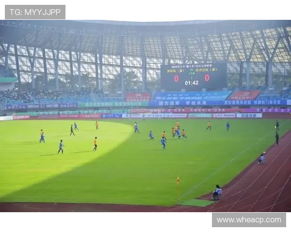 国家队连胜势头强劲新星闪耀赛场引发全民热议体育激情再燃新高潮