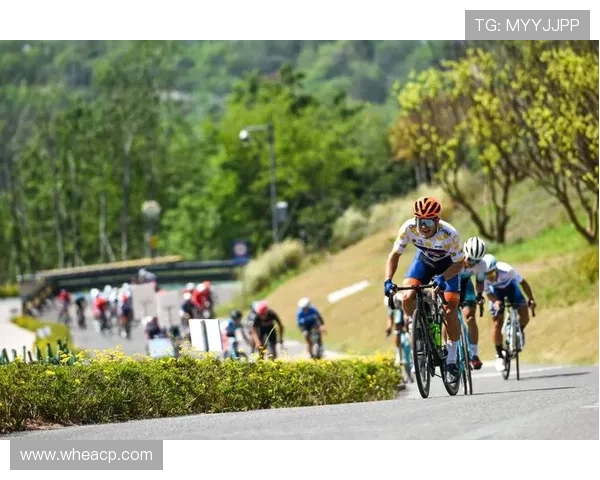 新赛季全面开启中国体育多项赛事激战正酣引发全民关注持续升温态势