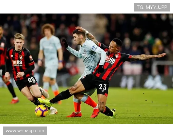 纽卡斯尔联俱乐部：英超黑马崛起与未来发展展望